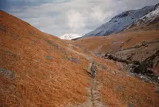 Footpath in Eskdale, Cumberland, February, c1960. Artist: CM Dixon
