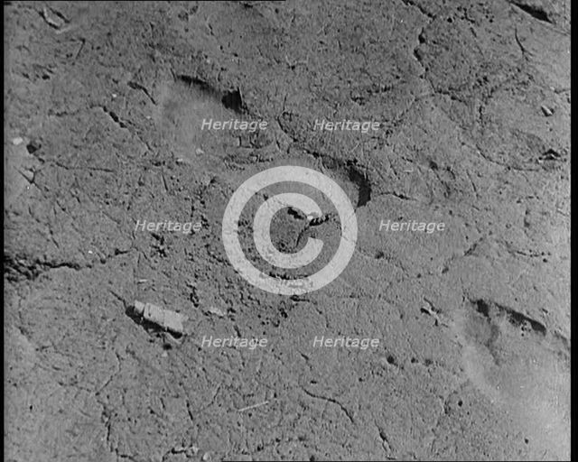 Footprint Outside American Aviator Charles Augustus Lindbergh's House During a Kidnapping..., 1930s. Creator: British Pathe Ltd.