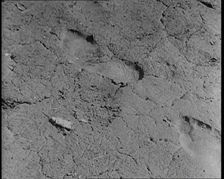 Footprint Outside American Aviator Charles Augustus Lindbergh's House During a Kidnapping..., 1930s. Creator: British Pathe Ltd