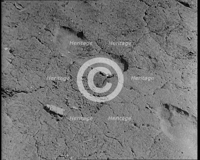 Footprint Outside American Aviator Charles Augustus Lindbergh's House During a Kidnapping..., 1930s. Creator: British Pathe Ltd.