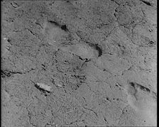 Footprint Outside American Aviator Charles Augustus Lindbergh's House During a Kidnapping..., 1930s. Creator: British Pathe Ltd