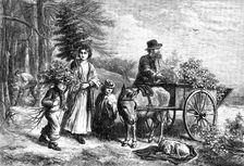 For the Squire's Hall, drawn by E. N. Downard, 1871. Creator: Unknown