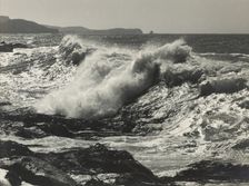 Force unfurling,c1920-1946. Creator: Thelma Kent