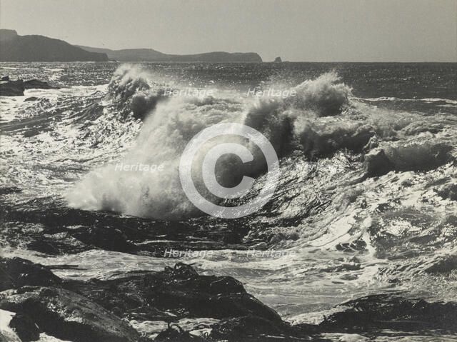 Force unfurling,c1920-1946. Creator: Thelma Kent.