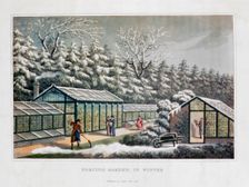 Forcing Garden in Winter 1816. Creator: Humphry Repton