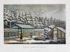 Forcing Garden in Winter 1816. Artist: Humphry Repton