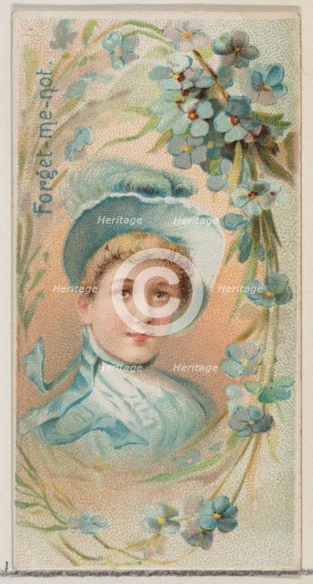 Forget-Me-Not, from the series Floral Beauties and Language of Flowers (N75) for Duke bran..., 1892. Creator: Donaldson Brothers.