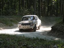 Ford Escort rally car at 2013 Goodwood Festival of Speed