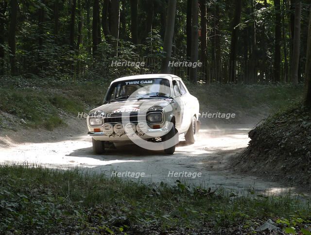 Ford Escort rally car at 2013 Goodwood Festival of Speed Artist: Unknown.