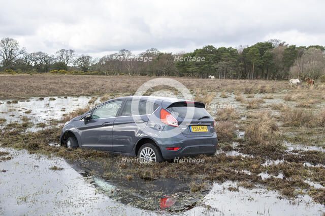 Ford Fiesta accident in New Forest, 2020. Creator: Tim Woodcock.