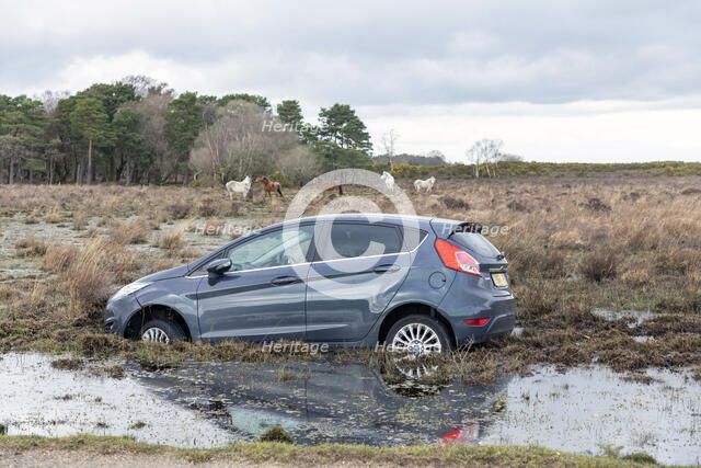 Ford Fiesta accident in New Forest, 2020. Creator: Tim Woodcock.
