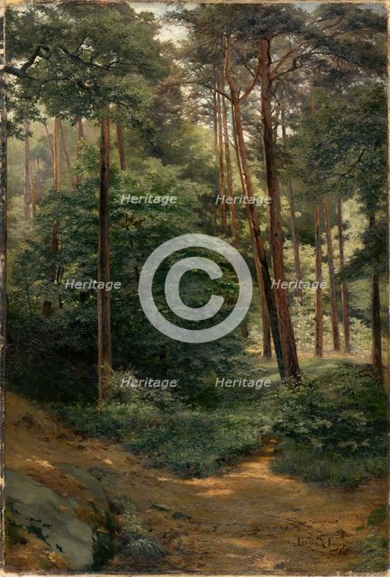 Forest, 1894. Creator: Ludovit Cordak.