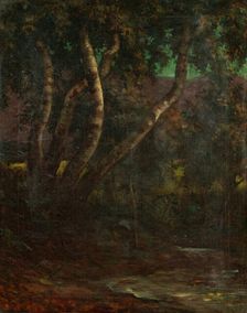 Forest, 1900-1920. Creator: Milan Thomka Mitrovsky