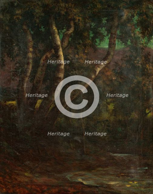Forest, 1900-1920. Creator: Milan Thomka Mitrovsky.