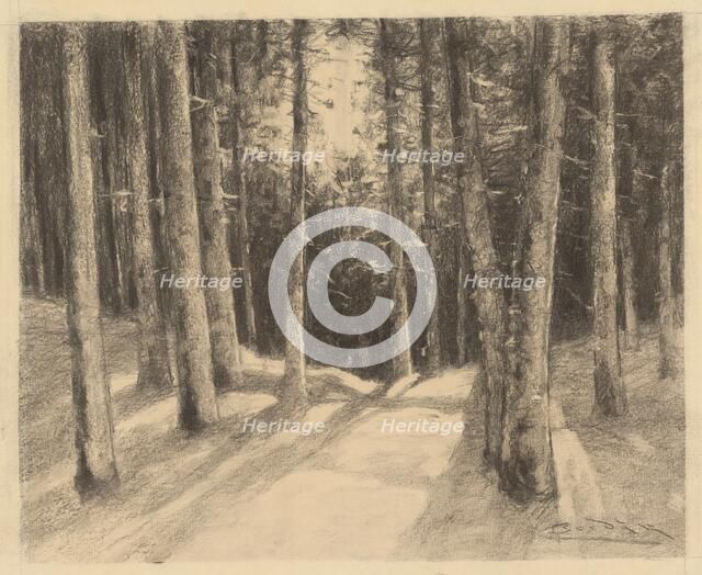 Forest, 1901-1937. Creator: Ludovit Cordak.
