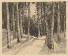 Forest, 1901-1937. Creator: Ludovit Cordak