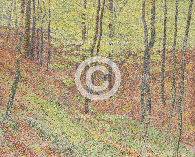Forest, 1903. Creator: Rohlfs; Christian (1849-1938).
