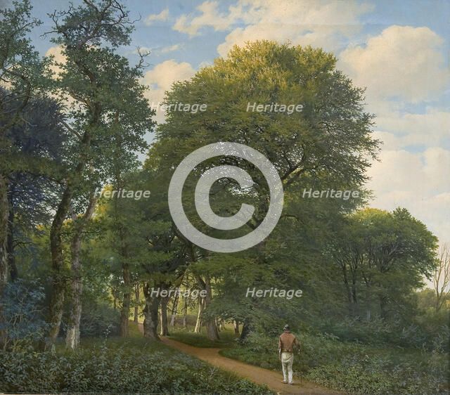 Forest near Charlottenlund, evening, 1818-1831. Creator: Heinrich Christian August Buntzen.