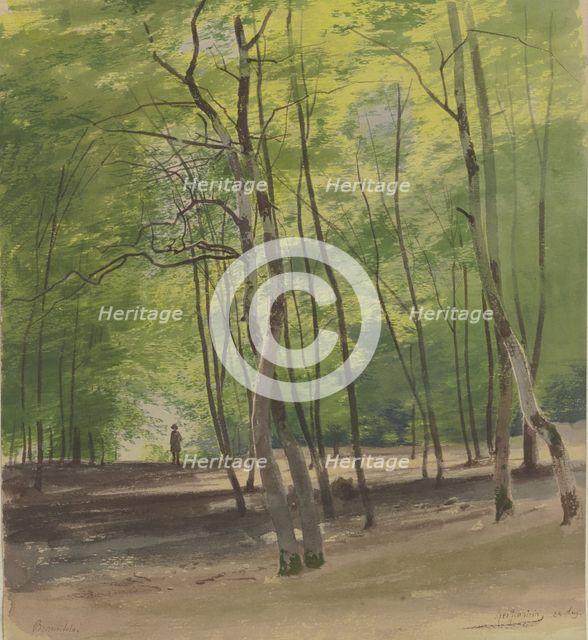 Forest near Braunfels, 1855. Creator: Carl Theodor Reiffenstein.