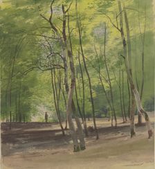 Forest near Braunfels, 1855. Creator: Carl Theodor Reiffenstein