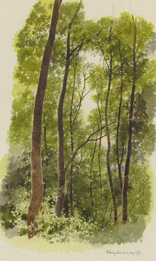 Forest near Konigstein, 1876. Creator: Carl Theodor Reiffenstein