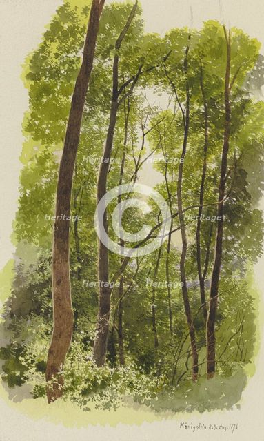 Forest near Konigstein, 1876. Creator: Carl Theodor Reiffenstein.