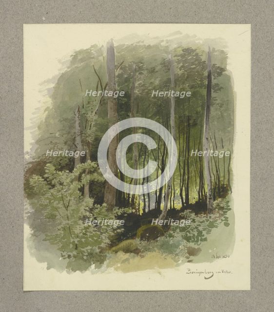 Forest near Zwingenberg on the Neckar River, 1850. Creator: Carl Theodor Reiffenstein.