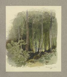 Forest near Zwingenberg on the Neckar River, 1850. Creator: Carl Theodor Reiffenstein