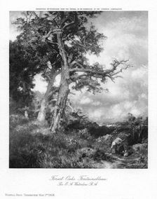 Forest Oaks, Fontainebleau 1908.Artist: Sir Ernest Albert Waterlow