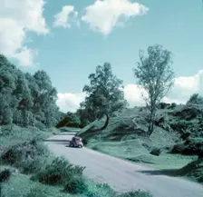 Forest of Dean, c1955. Creator: Arthur Charles Kirby Ware