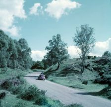 Forest of Dean, c1955. Creator: Arthur Charles Kirby Ware