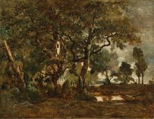 Forest of Fontainebleau, Cluster of Tall Trees Overlooking the Plain of Clair..., about 1849-1852. Creator: Theodore Rousseau