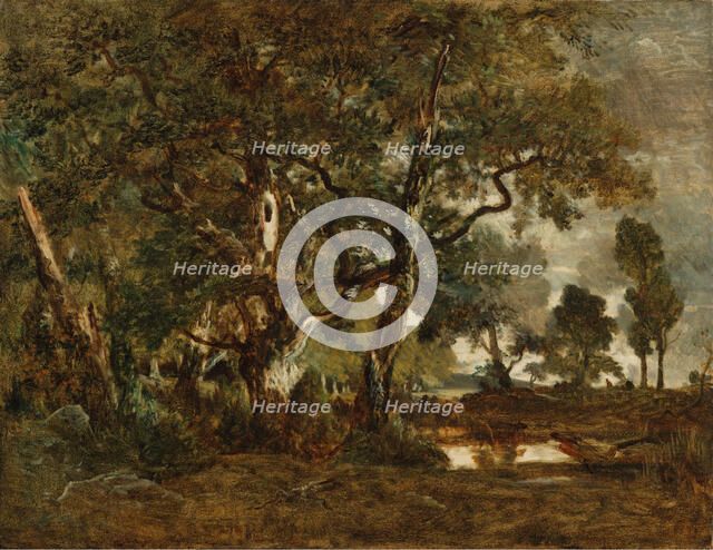 Forest of Fontainebleau, Cluster of Tall Trees Overlooking the Plain of Clair..., about 1849-1852. Creator: Theodore Rousseau.