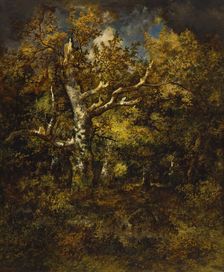 Forest of Fontainebleau, Autumn, 1871. Creator: Narcisse Virgile Diaz de la Pena