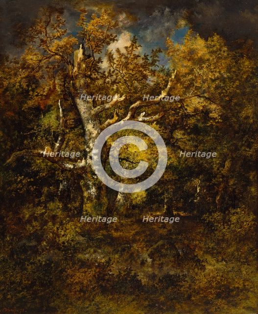 Forest of Fontainebleau, Autumn, 1871. Creator: Narcisse Virgile Diaz de la Pena.