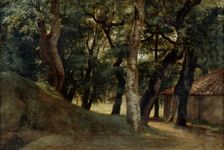 Forest of the Villa Borghese late 18th/early 19th century. Artist: Pierre Henri de Valenciennes