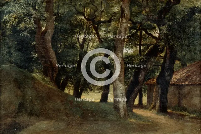 'Forest of the Villa Borghese', late 18th/early 19th century. Artist: Pierre Henri de Valenciennes