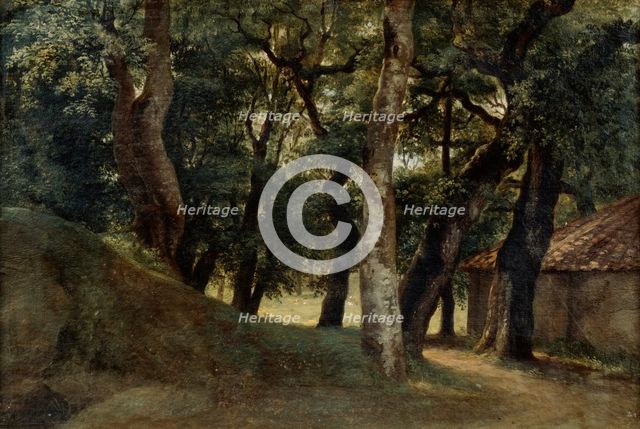 'Forest of the Villa Borghese', late 18th/early 19th century. Artist: Pierre Henri de Valenciennes