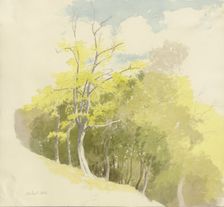 Forest at a slope, 1858. Creator: Carl Theodor Reiffenstein