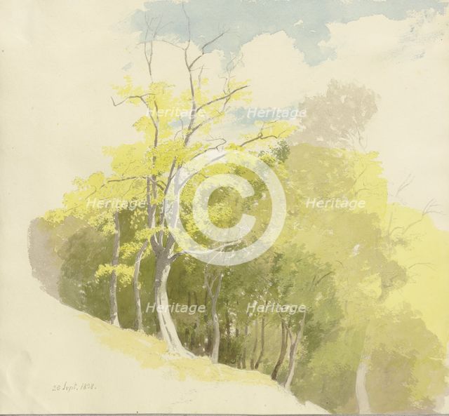 Forest at a slope, 1858. Creator: Carl Theodor Reiffenstein.