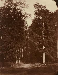 Forest at Saint-Cloud, 1859-1860. Creator: Louis-Rémy Robert