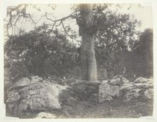 Forest and Rocks, Fontainebleau, 1860s. Creator: Achille Quinet