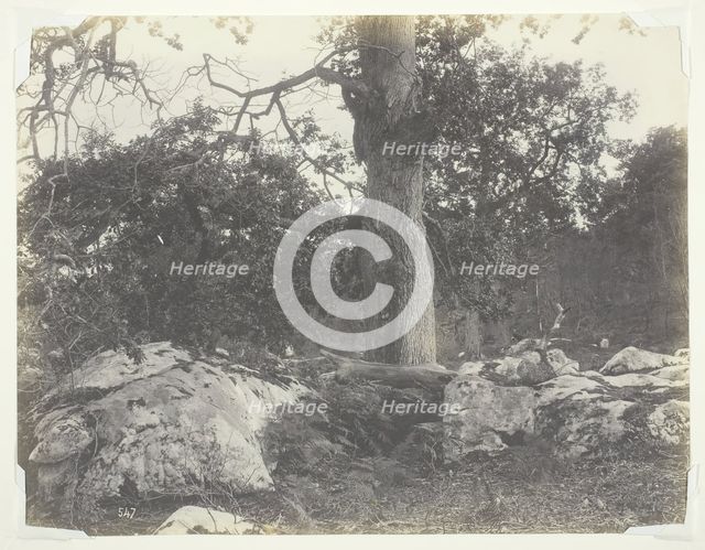 Forest and Rocks, Fontainebleau, 1860s. Creator: Achille Quinet.