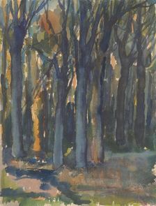 Forest, around 1935. Creator: Zolo Palugyay