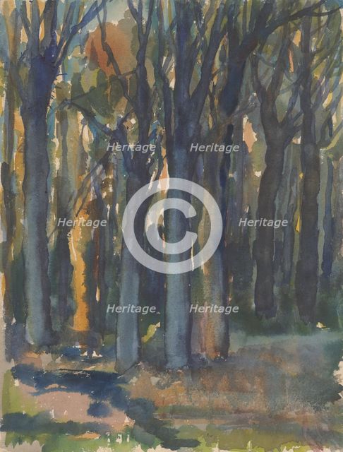 Forest, around 1935. Creator: Zolo Palugyay.