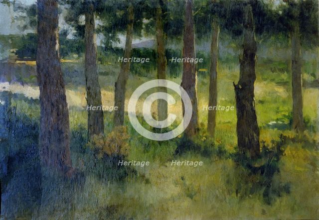 Forest', by Joaquim Vayreda.