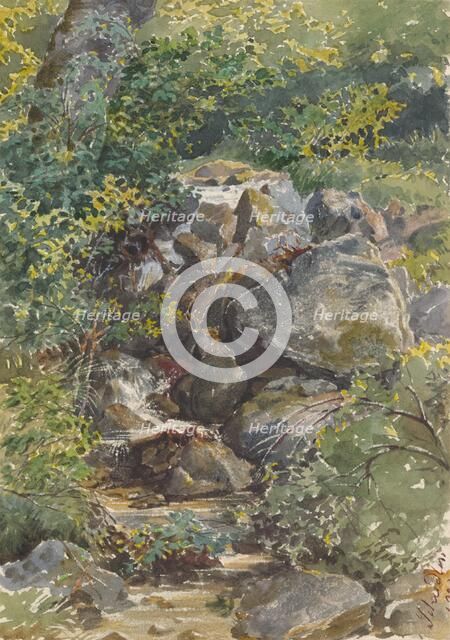 Forest Brook, 1861. Creator: Friedrich Carl von Scheidlin.