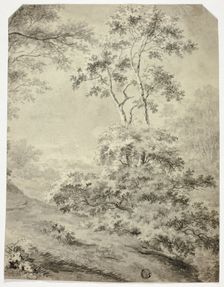 Forest Clearing, n.d. Creator: Unknown