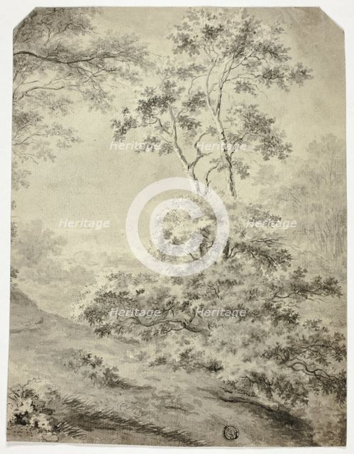 Forest Clearing, n.d. Creator: Unknown.