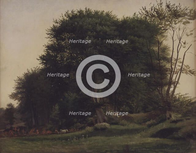 Forest clearing with cattle, 1855-1913. Creator: Wilhelm Xylander.